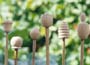 Acorn Cane Toppers