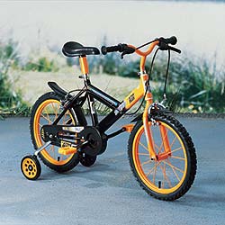 Childrens 16ins Cycle
