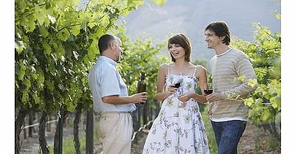 Activity Superstore Vineyard Tour and Tasting for Two 10184265