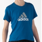 adidas Childrens SBCK Logo T-Shirt State Blue
