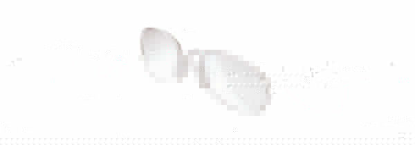 Adidas Inserts A779 Gazelle ClimaCool/On Par Clip In Sunglasses