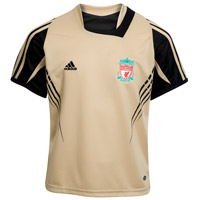 Liverpool UEFA Champions League Training Jersey