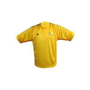 Adidas South Africa Home Replica Shirt