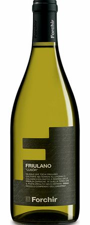 Adnams Lusor Friuliano, Azienda Forchir