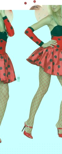 adult Costume: Lady Bug with Wings