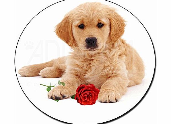 Advanta - Fridge Magnets Golden Retriever Dog with Rose Fridge Magnet Animal Gift