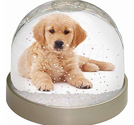 Advanta - Snow Globes Golden Retriever Puppy Dog Snow Dome Globe Waterball Gift