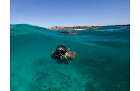 Antigua Eco Tour - Child (West Coast)