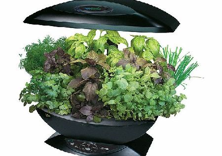 aero Garden - Salad Leaves
