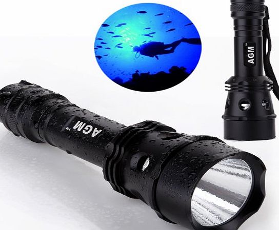 AGM Super Bright Waterproof 50M AGM 1000Lumens CREE XM-L L2 LED Scuba Diving Flashlight Underwater Dive Torch Light Magnet Switch with Battery Charger
