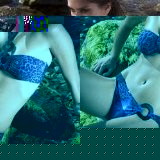 Aguaclara Animal Jungle Scoop Bikini Pant - Blue