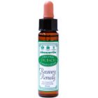 Ainsworths Dr Bach Recovery Remedy