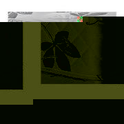 AIRSPRUNG Allegra Memory Foam King Mattress