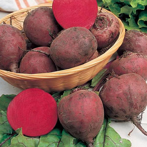 Alan Titchmarsh Beetroot Detroit 2 Seeds