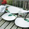 alan Titchmarsh Four Piece Dinner Set