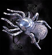 Alchemy Gothic Black Widow Spider Buckle
