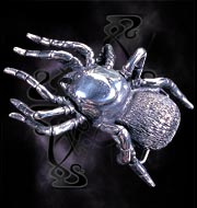 Black Widow Spider Buckle