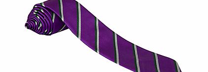 Alderbrook Senior School Unisex School Tie, Purple