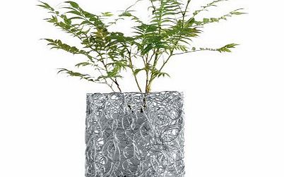Alessi Nuvem Wire Vase covers Vase Cover 18cm