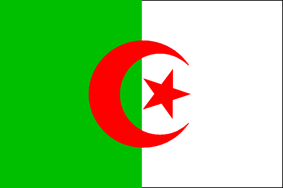 Algeria Puma 10-11 Algeria Home Shirt
