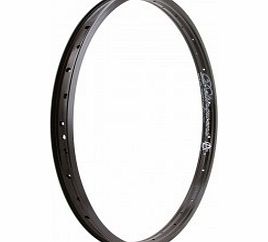 Alienation Delinquent