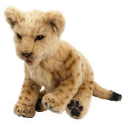 Alive Lion Cub
