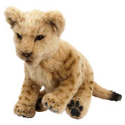 Lion Cub