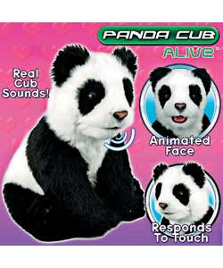 Alive Panda Cub