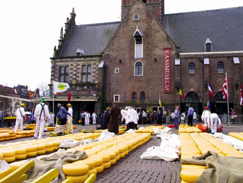 ALKMAAR Golden Tulip Alkmaar