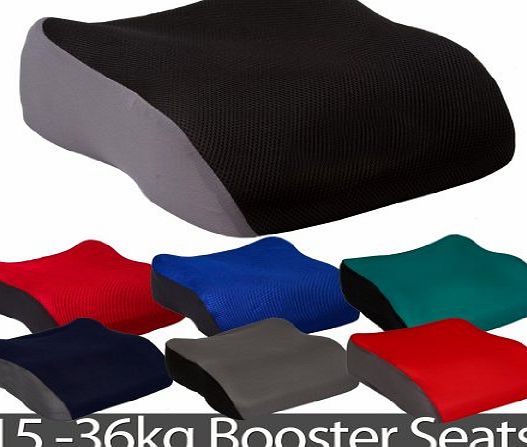 All Ride Booster Seat - Purple