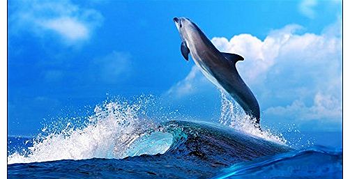 Allcam PCW120AFF 120`` fully-stretched HD Project Screen, Aluminium Frame with Black Velvet Wrapping, 3D movie compatible