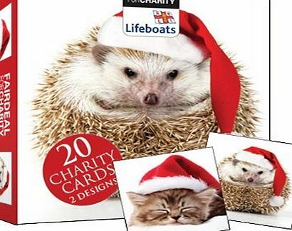 Charity Christmas card box - Happy Hedgehog and All is Quiet - 20 charity cards sold in support of RNLI Lifeboats
