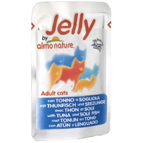 Almo Nature Adult Cat Food 70G x 24 Pack Chicken