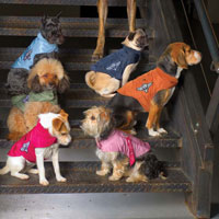 Alpha Industries MA1 Nylon Dog Flight Jacket Raspberry