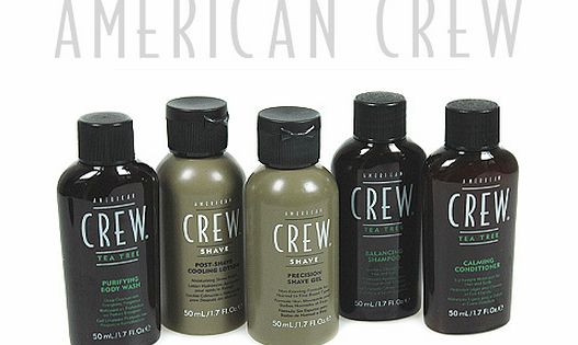 American Crew - Tea Tree Essentials Shave and