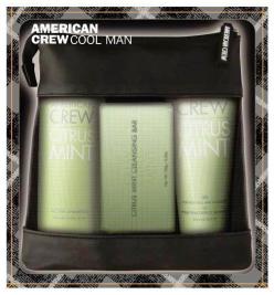 American Crew COOL MAN (5 Products)
