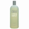 American Crew Shampoos - Citrus Mint Active Shampoo (Salon