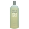 American Crew Shampoos - Crew Citrus Mint Active Shampoo 250ml