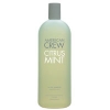 Shampoos - Crew Citrus Mint Active Shampoo 250ml