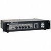 B1RE 300W Solid State Bass Head