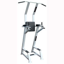 AMPRO 4135 Chin Dip Leg Raise Frame