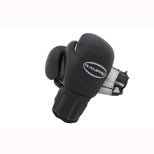 AMPRO PRO WEIGHTED BAG/SPAR GLOVE A900