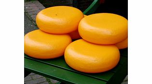 Food by Foot - Small Group Tour - Adult