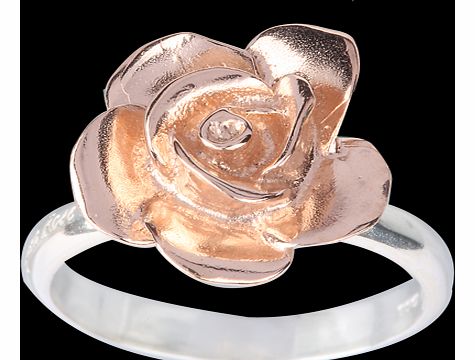 Amulette English Rose Engraved Ring - Ring Size N