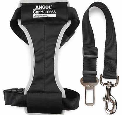 Ancol - Padded Nylon Dog Car Harness - Size - Large