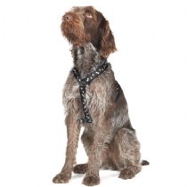 Ancol Nylon Dog Harness Black - Large Size 6-8
