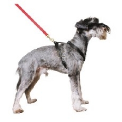 Ancol Nylon Harness Large:Red