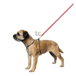 Ancol Nylon Medium Harness (Red)