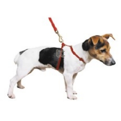 Ancol Nylon Small Harness (Red)