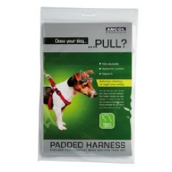 Ancol Padded Nylon Harness - Blue (Small)